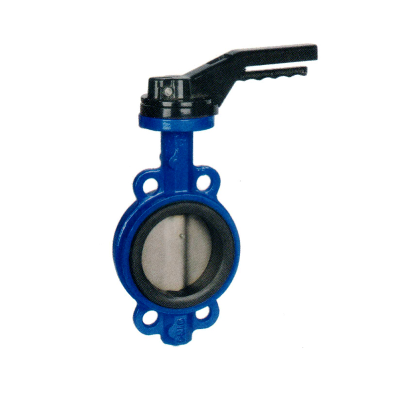 對(duì)夾式蝶閥