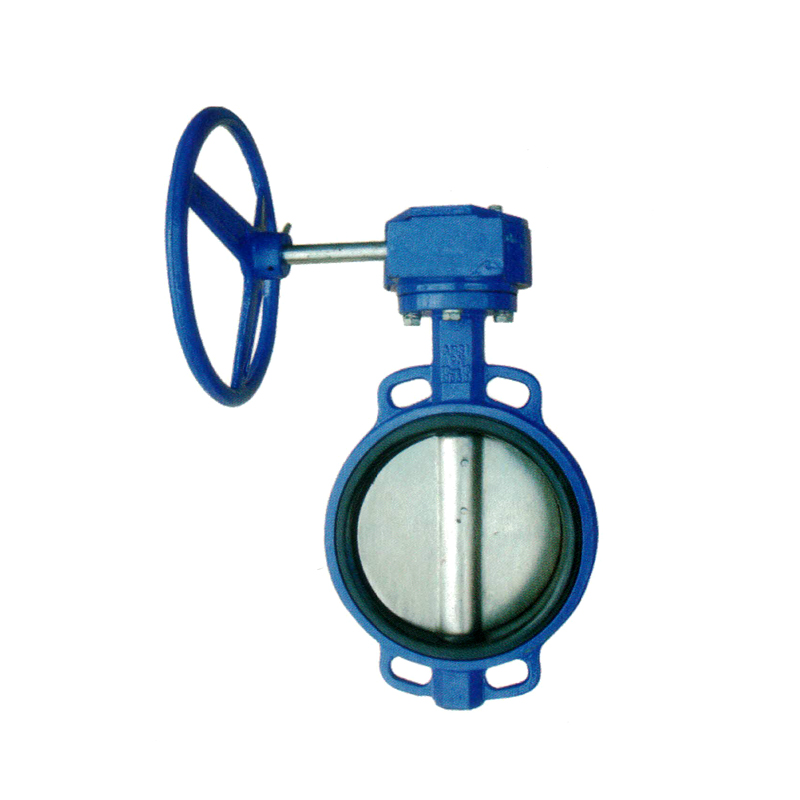 對(duì)夾式蝸輪蝶閥