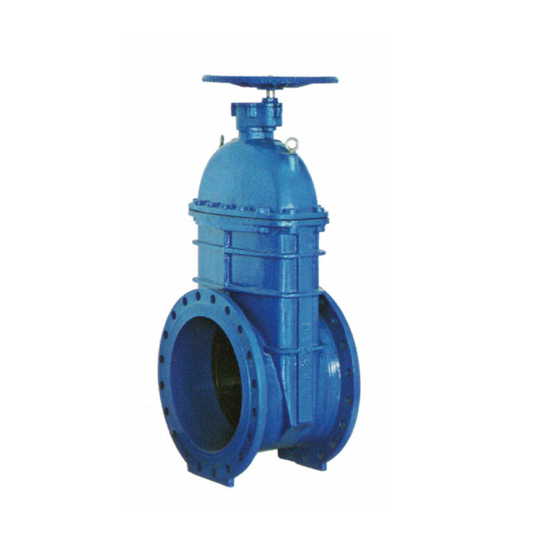 大口徑彈性座封閘閥